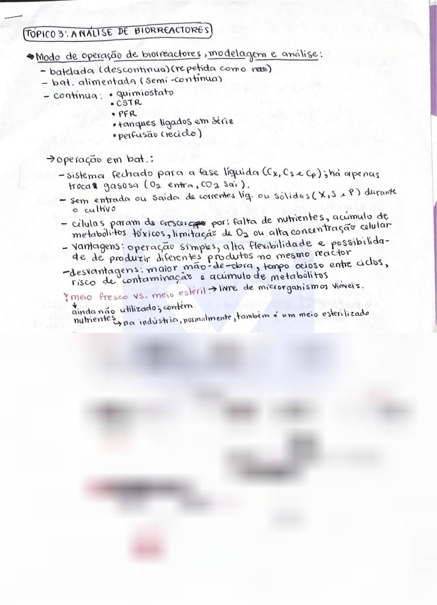 Primeira página: Resumo Temático de Engenharia Bioquímica II – ISPTEC 2026 (Parte 2 de 2)